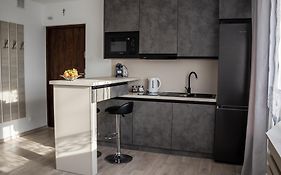 MyPlace Gray Apartment Sandomierz